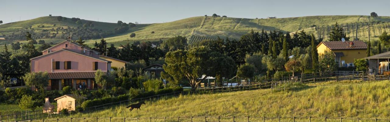 Bio Agriturismo Il Melograno Di Banditella Ristorante Alberese Exteriér fotografie